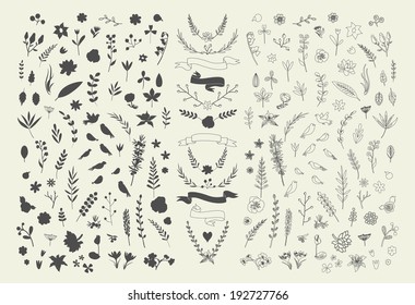 Hand Drawn Vintage Floral Elements. Set Of Flowers. Decorative Elements