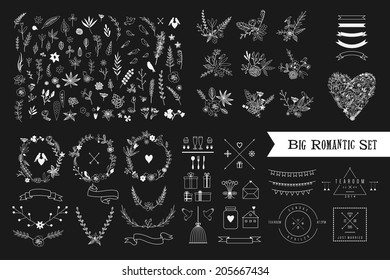 Hand Drawn vintage floral elements. Set of flowers, icons and decorative elements.