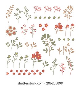 Hand drawn vintage floral elements.Set of flowers.Summer garden retro nature decorative illustration vector graphic