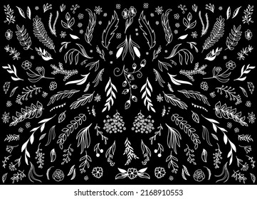 Hand Drawn vintage floral elements. White vinage flowers, icons rustic plants decorative elements on black background.