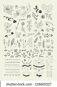 Hand Drawn vintage floral elements. Swirls, laurels, frames, arrows, leaves, feathers, dividers, branches, flowers, banners and curls. 