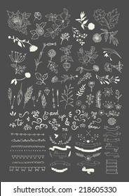 Hand Drawn vintage floral elements. Swirls, laurels, frames, arrows, leaves, feathers, dividers, branches, flowers, banners and curls. 