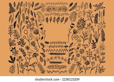 Elementos florales vintage dibujados a mano