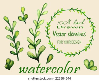 Hand drawn vintage floral elements. Set of watercolor branches. Vector illustration.