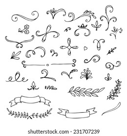 Hand Drawn vintage floral elements. Swirls,  leaves,  branches, banners and curls. Vector