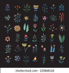 Hand Drawn vintage floral elements. Flowers, leaves, branches, berries. Isolated.