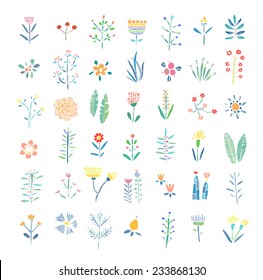 Hand Drawn vintage floral elements. Flowers, leaves, branches, berries. Isolated.