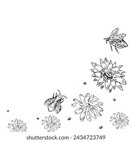 Fondo de elementos florales vintage dibujado a mano, borde . Ilustración vectorial se puede utilizar para textiles, envoltura, decoración. 