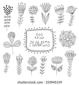 Hand Drawn vintage floral elements.  Flowers.