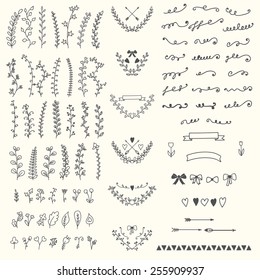 Hand Drawn vintage floral elements. Handsketched vector design elements. Vector illustration