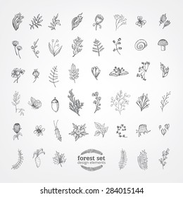 Hand Drawn vintage floral elements