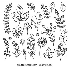 Handgezeichnete Vintage-Blumenelemente.