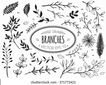 Hand Drawn vintage floral elements. Set of decorative branches.