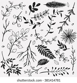 Hand Drawn vintage floral elements. Set of decorative branches.