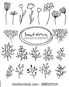 Hand Drawn vintage floral elements. Set of flowers. Decorative elements. Doodle floral set. Isolated floral hand drawn decorative elements. Flower elements.
