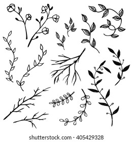 Hand Drawn vintage floral elements. Set of decorative branches.
