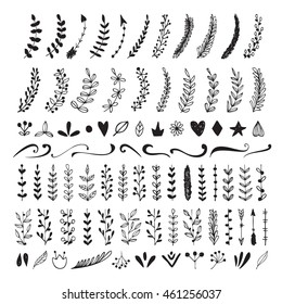 Hand drawn vintage floral elements set. Hand drawn beautiful branches. Vector decoration collection. 