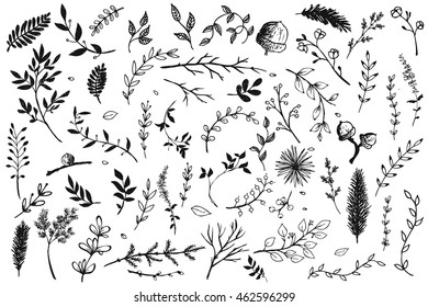 Hand Drawn vintage floral elements. Set of decorative branches and leaves. Vintage vector design elements.Ink illustration.