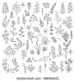 Hand Drawn vintage floral elements. Set of flowers. Decorative elements