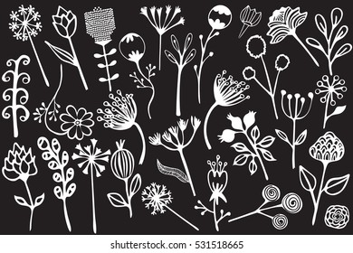 Hand Drawn vintage floral elements of flowers, leaves, branches, decorative plants for design background, invitations, greeting cards, logos, flayers, scrapbooking, etc