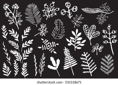 Hand Drawn vintage floral elements of flowers, leaves, branches, decorative plants for design background, invitations, greeting cards, logos, flayers, scrapbooking, etc