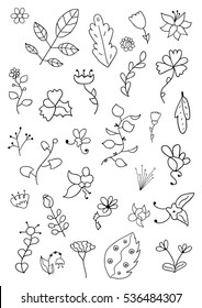 Hand Drawn vintage floral elements