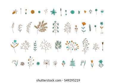 Hand Drawn vintage floral elements. Vector. Isolated.The set of hand-drawn vector decorative elements for your design. Leaves, branches, floral elements. Wedding, birthday, Valentine's day.