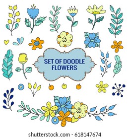 Hand Drawn vintage floral elements (leaves, berries flowers) and text frame. Set of flowers to make your floral bouquet.
