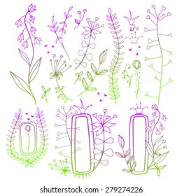 Hand Drawn vintage floral elements.Floral frame.