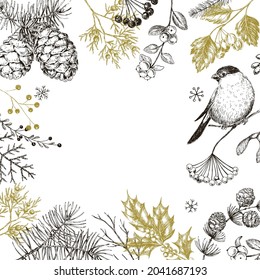 Hand drawn vintage floral sketch card. Winter evergreen plants, berries and birds. Black and white Christmas vector design.