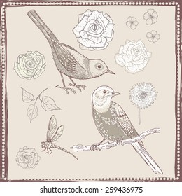 Hand drawn vintage flowers and birds set. All objects are conveniently grouped and are easily editable.