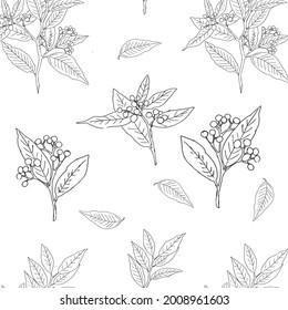 Hand drawn Vintage Flowers and Botanical Branches Seamless Pattern. Elegant Floral Silhouette. Nature Plant Set. Sketch drawing style Greenary element. Vector