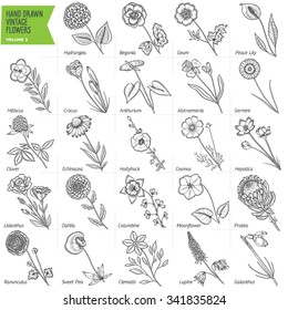 Hand drawn vintage flowers vector set. Volume 2.