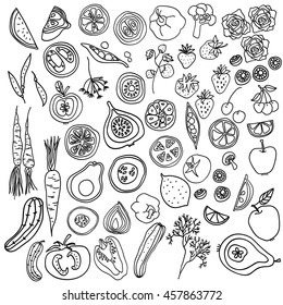 Hand drawn vintage fruits and vegetables vector illustration. Sketch set of food. Decorative elements.