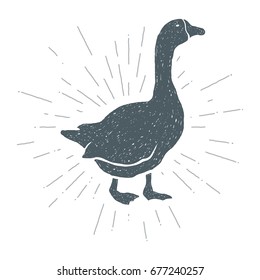 Hand drawn vintage Goose. Sketch style. Meat. Gander. Bird. Vector illustration. T-shirt print. Poster. Logo. Hipster. A series of farm animals. 