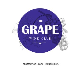 Hand drawn vintage grape icon. Botanical design. Vector illustration.