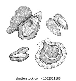 Hand drawn vintage graphic illustration with realistic oysters and mussels. Seafood elements for design menu, recipes, decoration kitchen items. Great for label, poster, packaging design