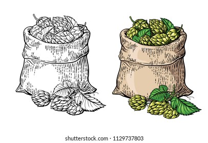 Hand drawn vintage graphic with two bags and hops. Vector illustration