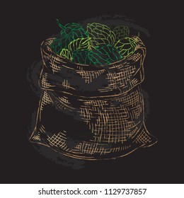 Hand drawn vintage graphic with two bags and hops. Vector illustration