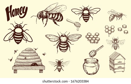 Hand Drawn Vintage Honey bee art stock vector illustration silhouette - Design Logo Magazine Poster Banner design elements