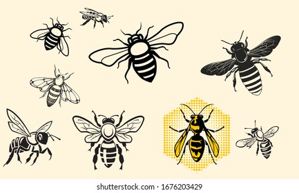 Hand Drawn Vintage Honey bee art stock vector illustration silhouette - Design Logo Magazine Poster Banner design elements