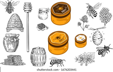 Hand Drawn Vintage Honey Bee Art Stock Vector Illustration Silhouette - Design Logo Magazine Poster Banner Design Elements