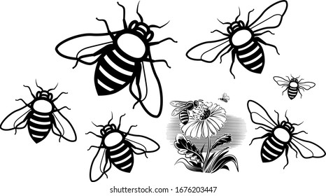 Hand Drawn Vintage Honey bee art stock vector illustration silhouette - Design Logo Magazine Poster Banner design elements