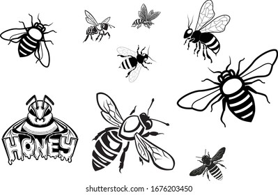 Silhouette d'illustration vectorielle de stock d'abeilles vintage Dessinées à la main - Logo de création Magazine Poster Éléments de création de bannière