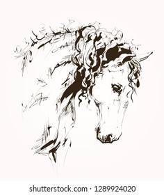 Hand drawn vintage horse head. Stylish horse portrait. Cute animal poster. Sketch. Vector illustration. 