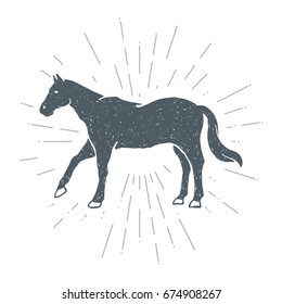 Hand drawn vintage Horse. Sketch style. Vector illustration. T-shirt print. Poster. Logo. Hipster. Retro badge.