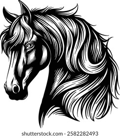 hand drawn vintage horse vector illustration, black and white silhouette illustration line art