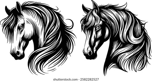 hand drawn vintage horse vector illustration  black and white silhouet