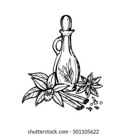 Hand drawn vintage illustration. Herbs and spices  (  mint, vanilla, pepper, cinnamon etc). Retro art vector illustration.