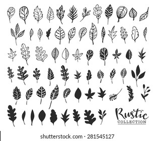 Hand Drawn Vintage Leaves. Rustic Decorative Vector Design Elements.